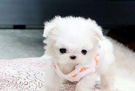 Jennie-f.jpg